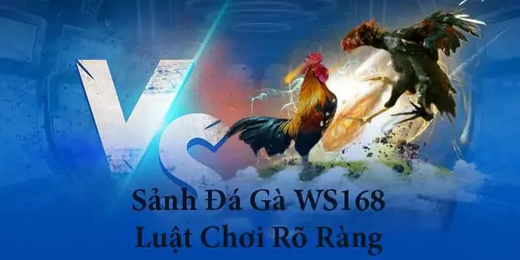 Bật Mí Cách Chơi Đá Gà WS168 Tại VB77 Thắng Lớn Mỗi Ngày 2 Bật Mí Cách Chơi Đá Gà WS168 Tại VB77 Thắng Lớn Mỗi Ngày