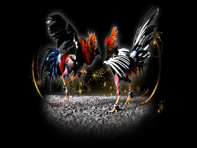 Bật Mí Cách Chơi Đá Gà Sabong Tại VB77 Thắng Lớn Mỗi Ngày 1 Bật Mí Cách Chơi Đá Gà Sabong Tại VB77 Thắng Lớn Mỗi Ngày